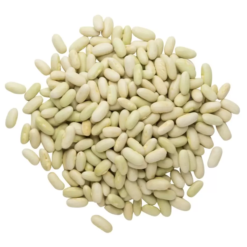 Flageolets verts BIO en vrac - Origine France
