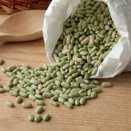 Flageolets verts BIO en vrac - Origine France