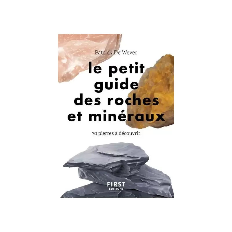 Le petit guide des roches et minéraux - Patrick de Wever
