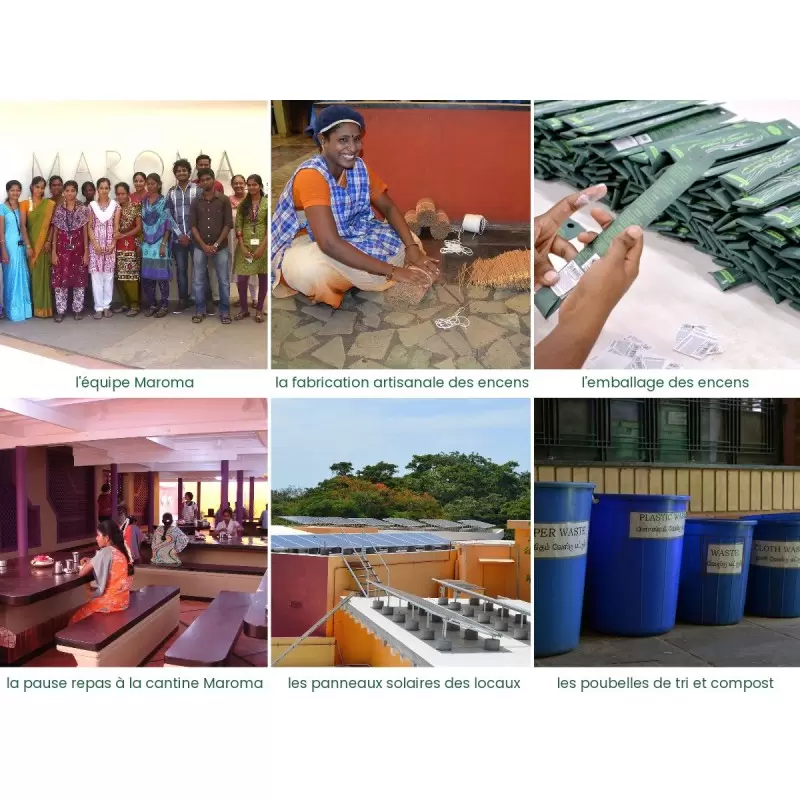 Encens Citronnelle - Encens d'Auroville