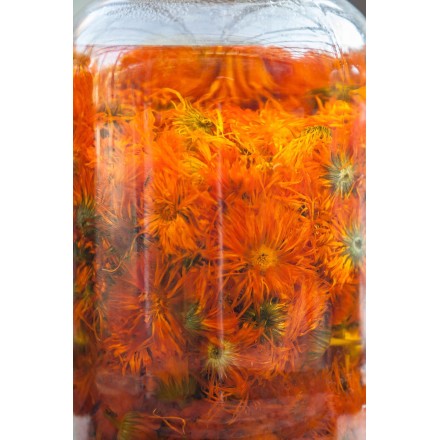 Teinture mère de calendula BIO - Menthe et Mélisse