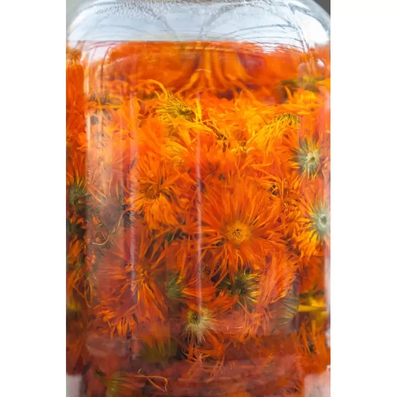 Teinture mère de Calendula Bio du Jura – 30 ml
