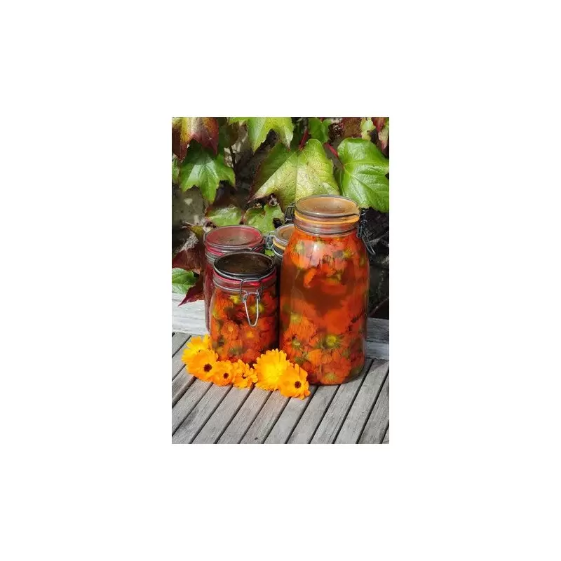 Teinture mère de Calendula Bio du Jura – 30 ml