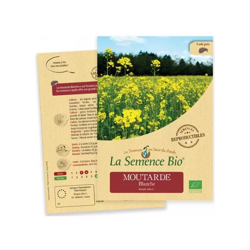 Graines Moutarde blanche BIO - La Semence Bio