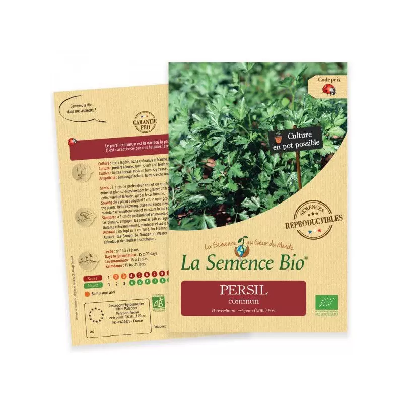 Graines Persil commun BIO - La Semence Bio