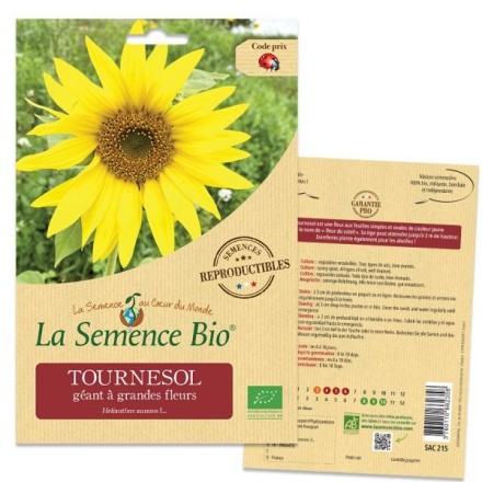 Graines Tournesol géant BIO - La Semence Bio