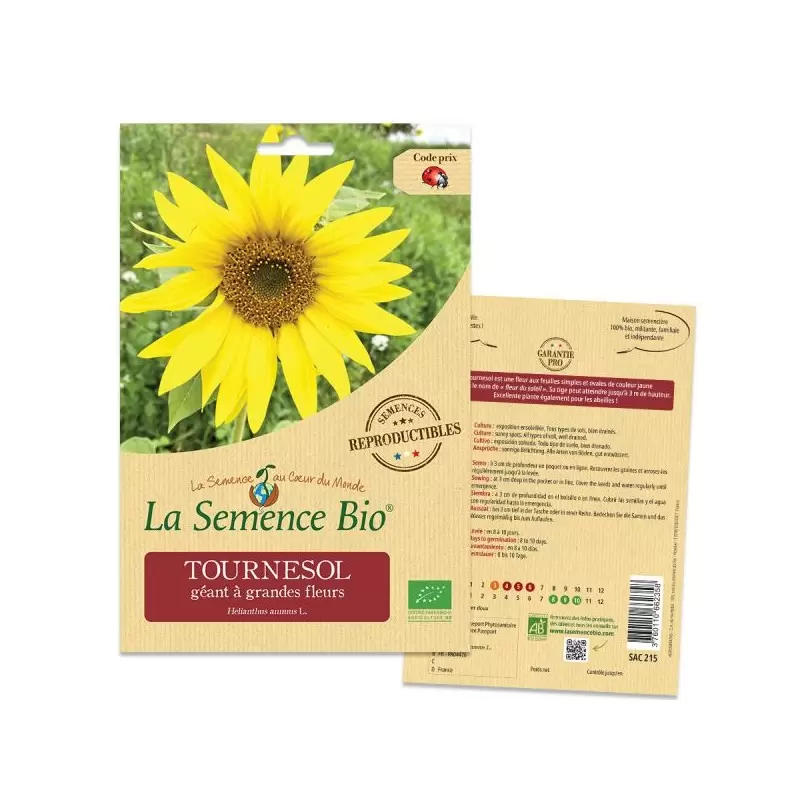 Graines Tournesol géant BIO - La Semence Bio