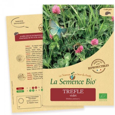 Graines Trèfle violet BIO - La Semence Bio