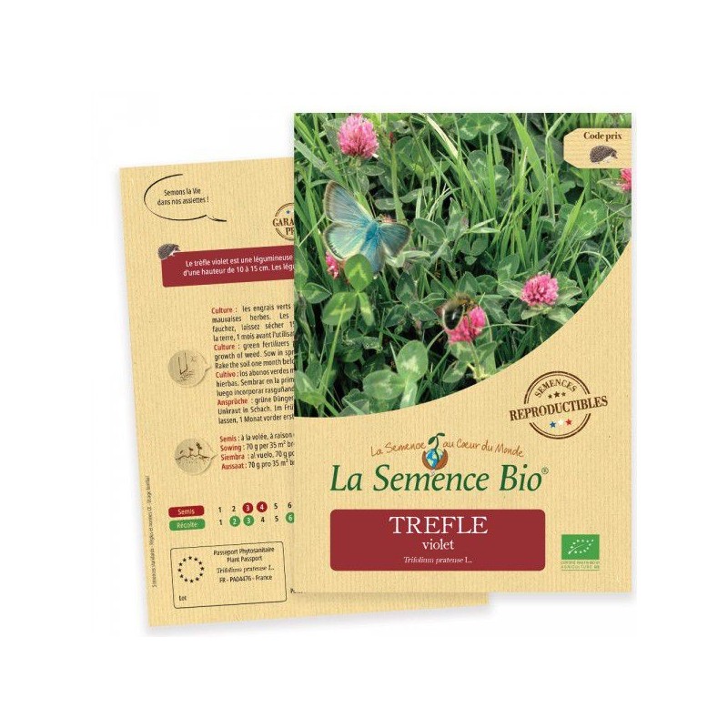 Graines Trèfle violet BIO - La Semence Bio