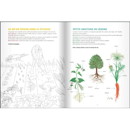 Mon cahier d'activités nature : Le potager