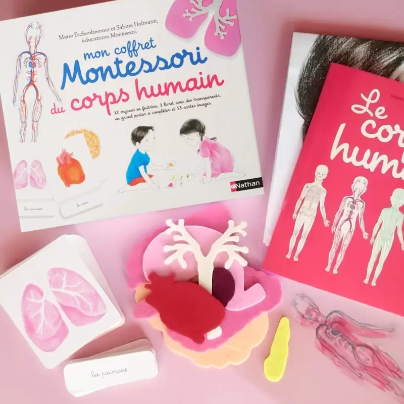 Mon coffret Montessori du corps humain - Nathan