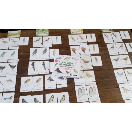 Mon coffret Montessori des oiseaux - Nathan