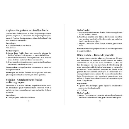 La phytothérapie au fil des saisons - Philippe Chavanne