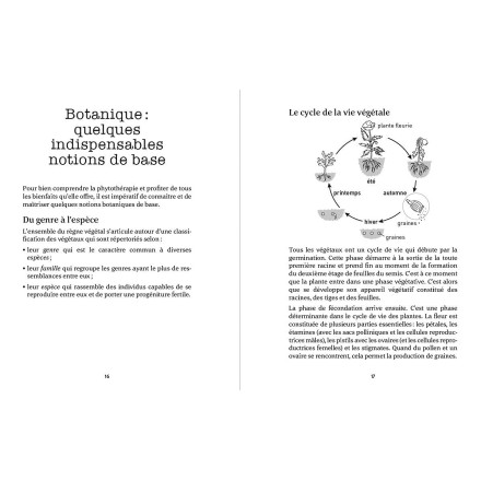 La phytothérapie au fil des saisons - Philippe Chavanne