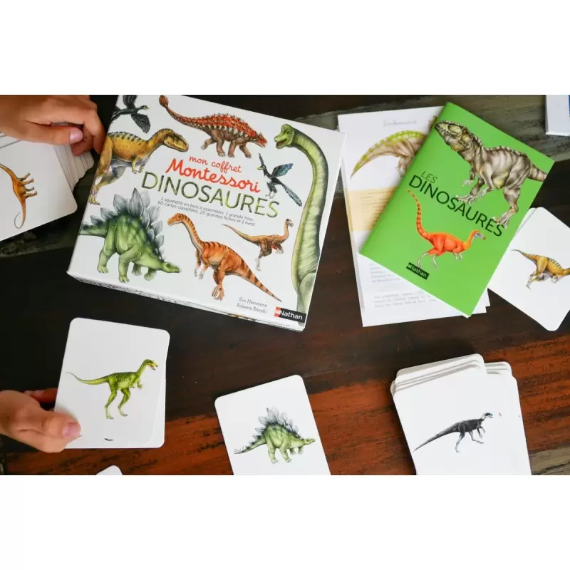 Mon coffret Montessori dinosaures - Nathan