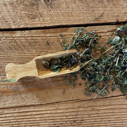 Pelle à thé en buis du Jura - Artisanale & Locale