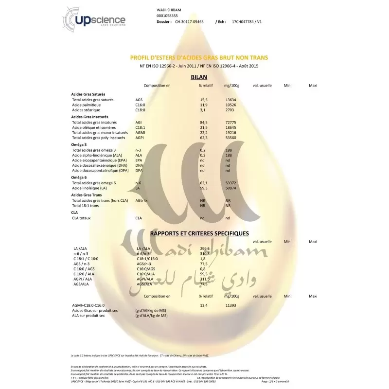 Huile de nigelle d'Ethiopie - Habachia - Pure - 100ml - Wadi Shibam