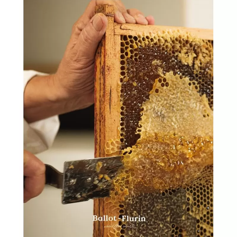 Shampoing Traitant Bio à la Propolis | Ballot-Flurin
