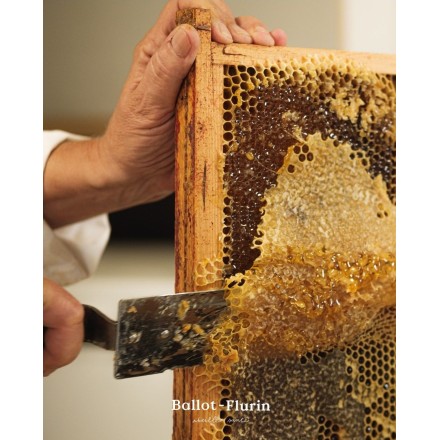 Spray nasal BIO des Pyrénées à la propolis & thym - Ballot Flurin