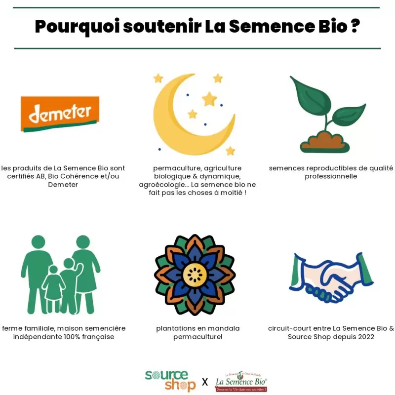 Graines Romarin BIO - La Semence Bio