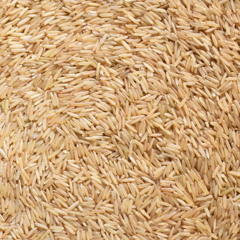 Riz Basmati complet BIO en vrac