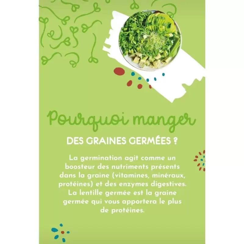 Graines à germer de Quinoa BIO - 200g