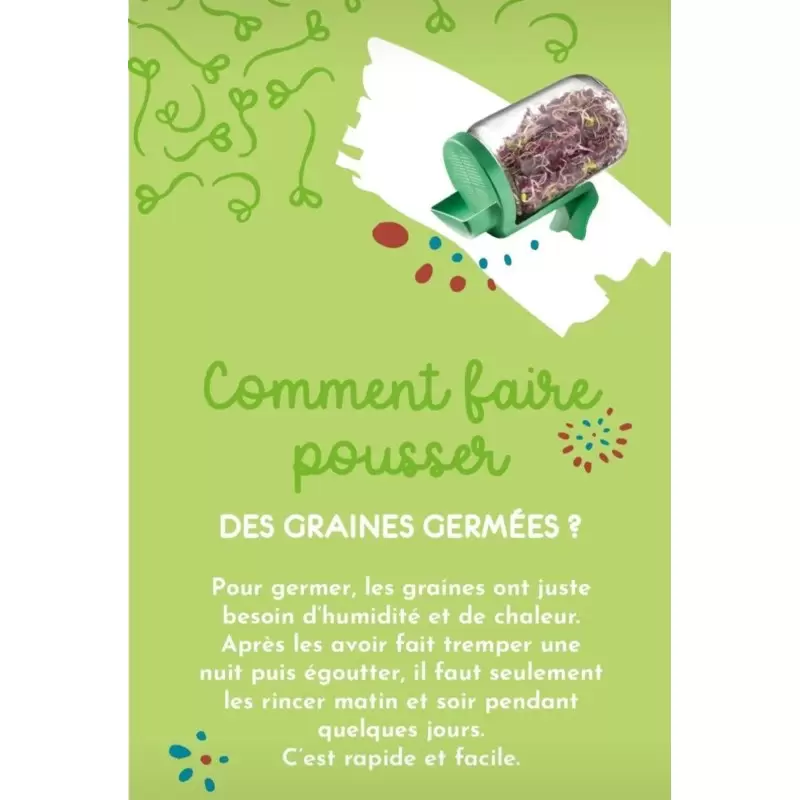 Graines à germer Alfalfa, Cresson & Chou rouge BIO - 150g