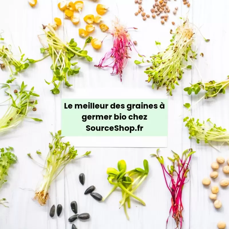 Graines à germer Alfalfa, Trèfle & Radis BIO - 150g