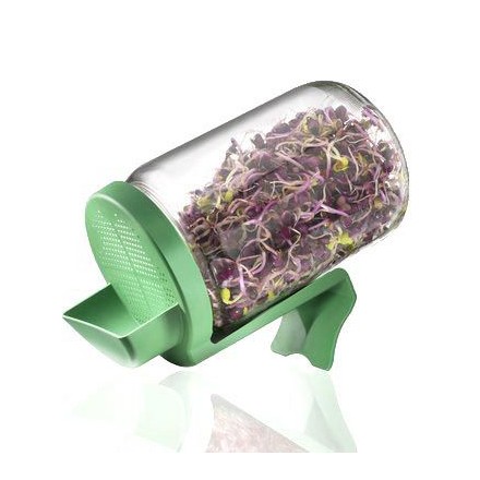 Germoir bocal en verre - Germline