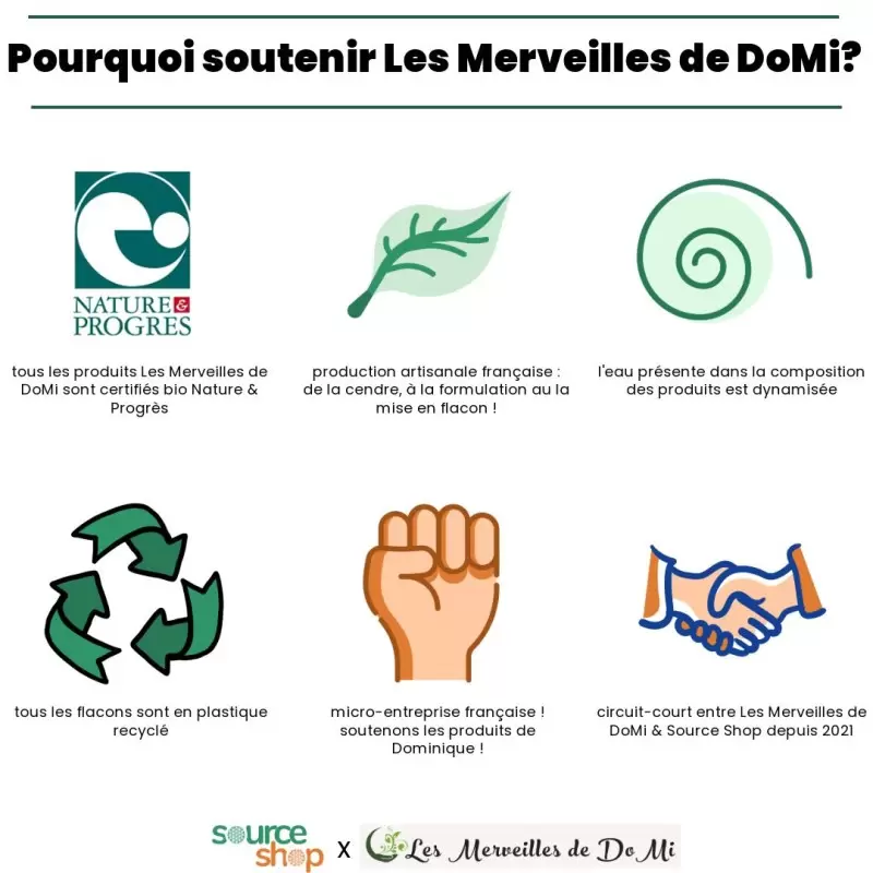 Lessive artisanale à la Cendre & lavandin BIO - 1L - Zéro déchet