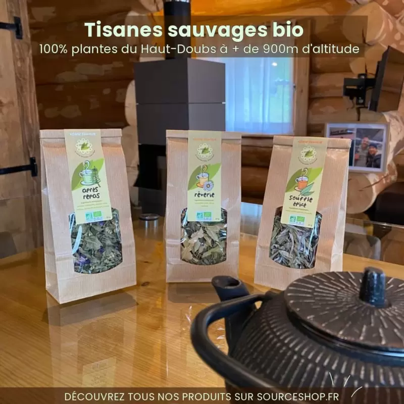Tisane Voies Respiratoires Bio Souffle Épicé du Jura - Plantes sauvages