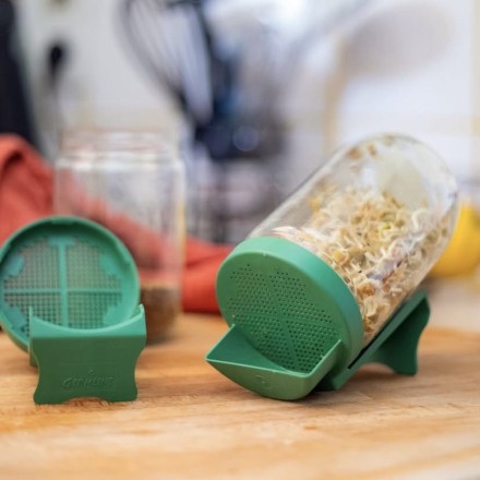 Germoir bocal en verre - Germline