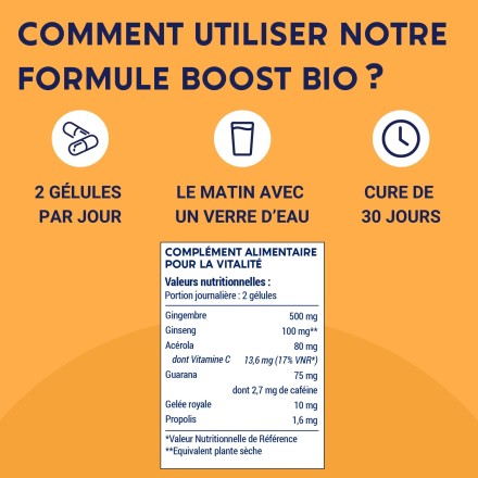 Gélules Formule Boost Bio – Laboratoires Enova