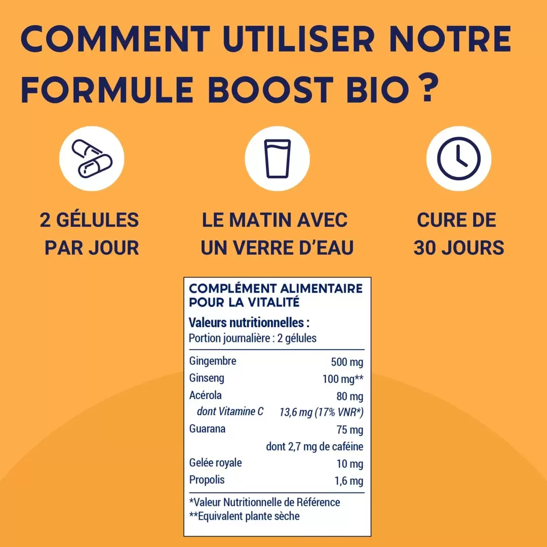 Gélules Formule Boost Bio – Laboratoires Enova