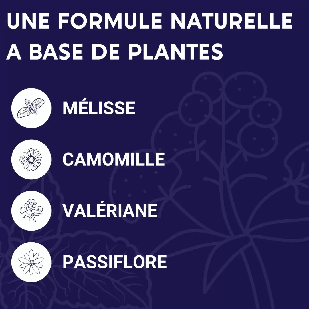 Gélules Formule Nuit – Laboratoires Enova