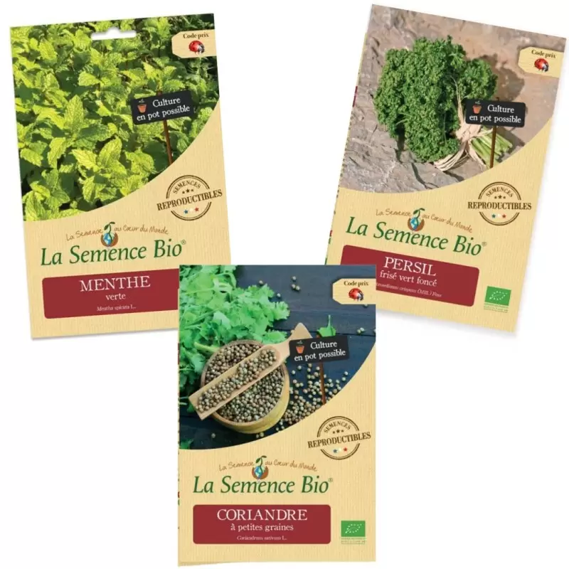 Pack Menthe, Persil frisé & Coriandre – graines aromatiques bio