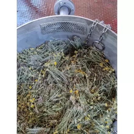 Fleurs d'Immortelle Bio de la Drôme – Distillerie des 4 Vallées
