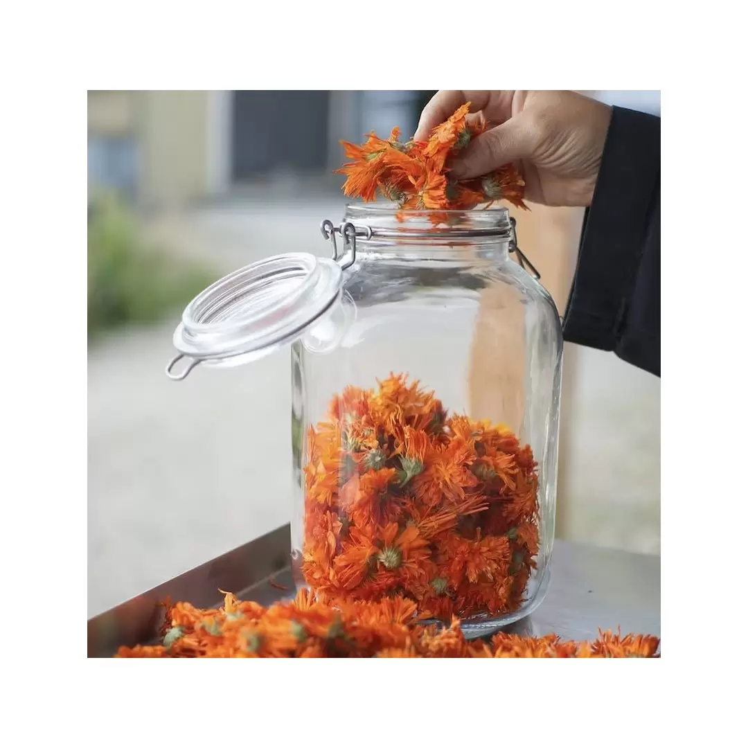 Macérat Huileux de Calendula Flori'Sain