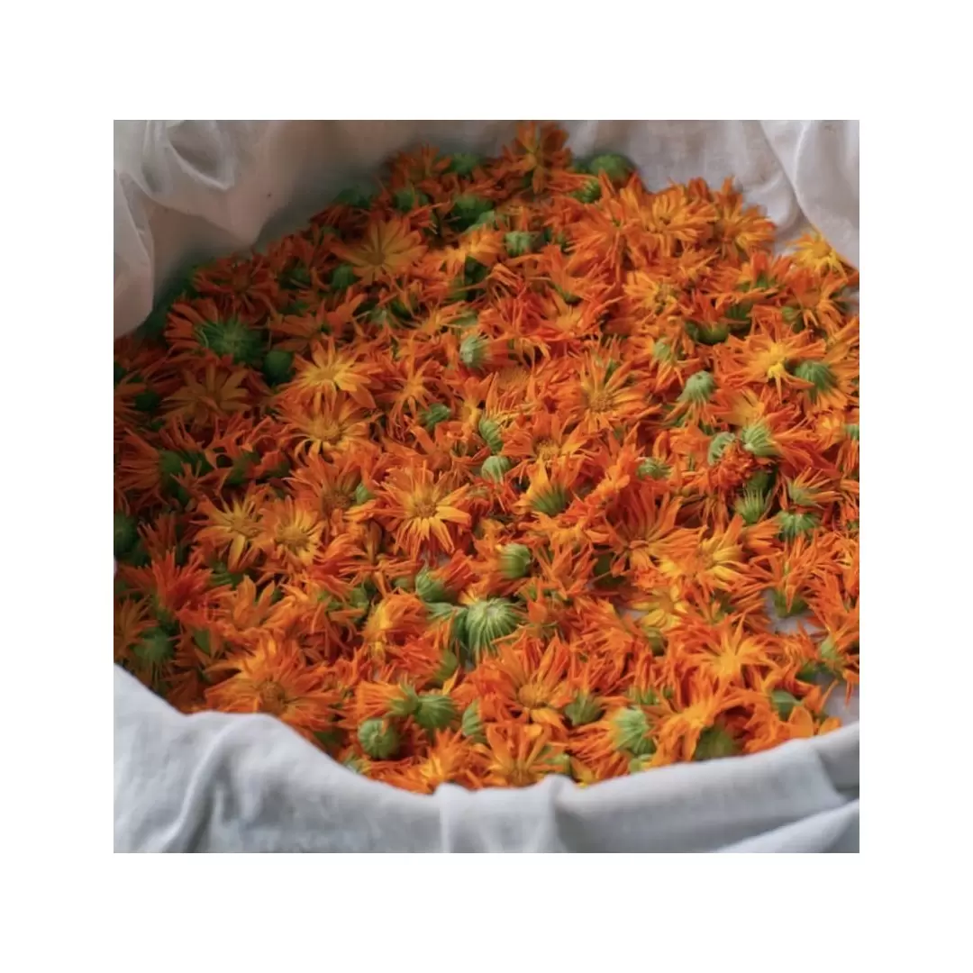 Macérat Huileux de Calendula Flori'Sain