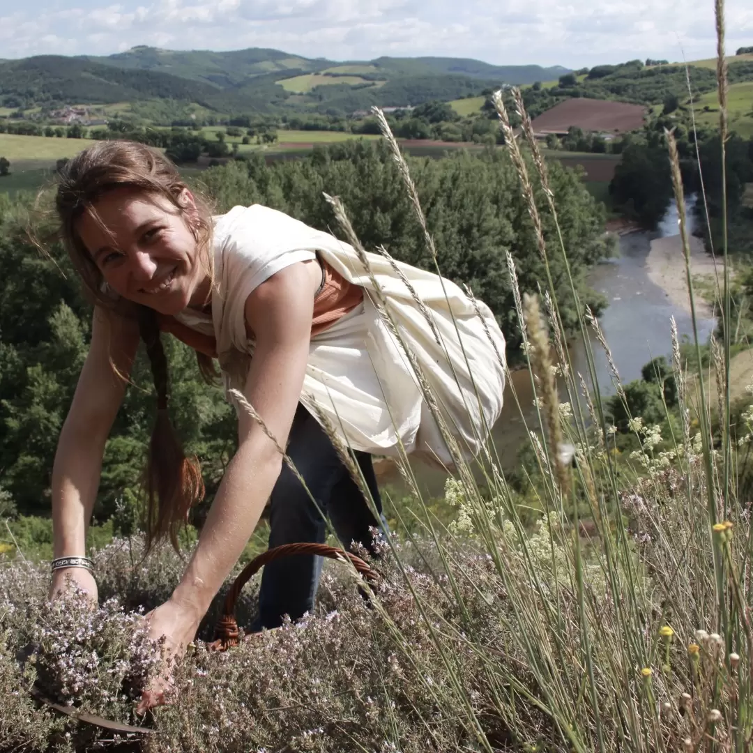 Hydrolat de Pin Sylvestre Bio de l'Aveyron - 250 ml - Qualité alimentaire - Élo'Distille