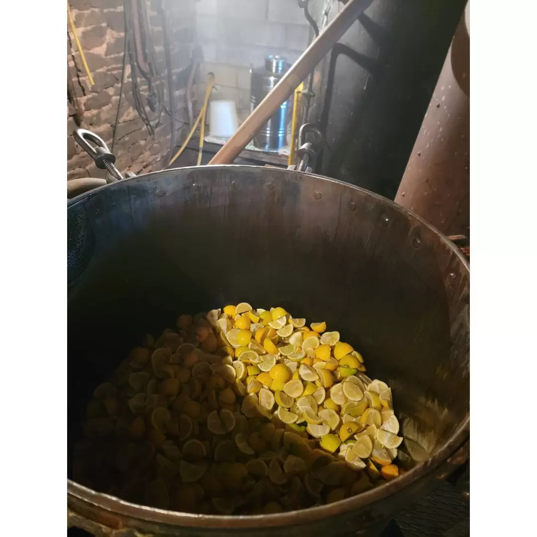 Huile Essentielle de Citron Bio de l'Aveyron | Élo'Distille