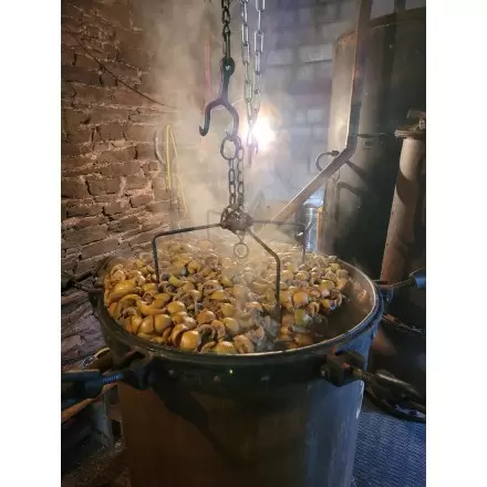 Distillation artisanale du citron bio par Élo'Distille