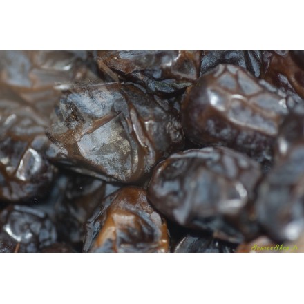 Dattes Medjool de Palestine première qualité - vrac ou 5kg