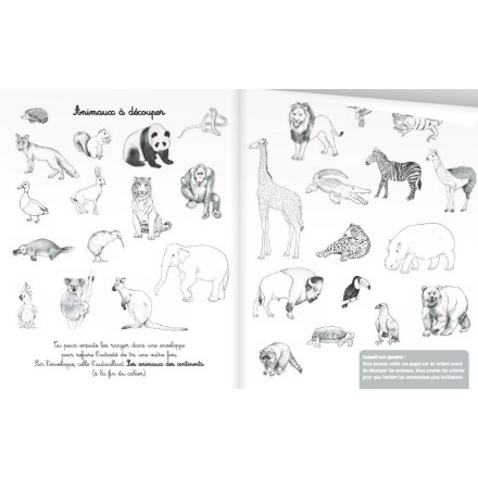 Mes activités Montessori 4/7 ans - Nathan