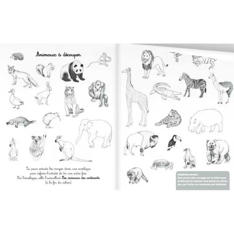 Mes activités Montessori 4/7 ans - Nathan