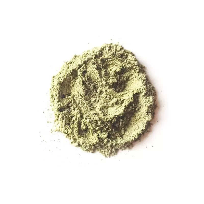 Masque ayurvédique BIO à la spiruline - Eliah Sahil