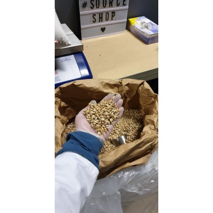 Oreiller BIO balles d'épeautre et coton BIO - Artisanal & Français