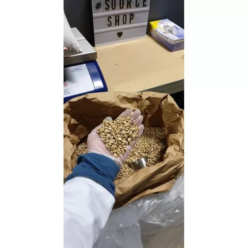 Oreiller BIO balles d'épeautre et coton BIO - Artisanal & Français