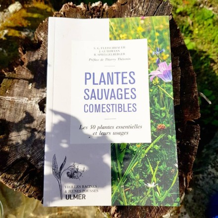 Plantes sauvages comestibles - Editions Ulmer