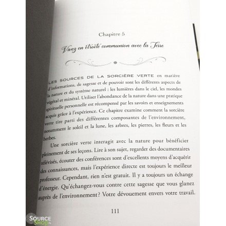 La Sorcière Verte - Arin Murphy-Hiscock